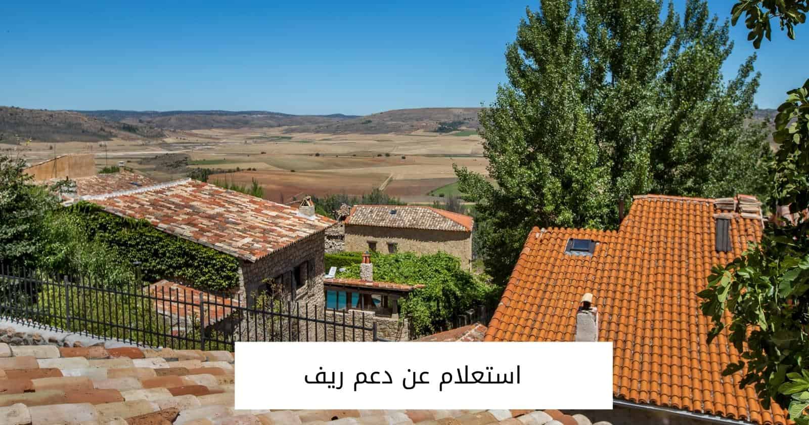 استعلام عن دعم ريف  