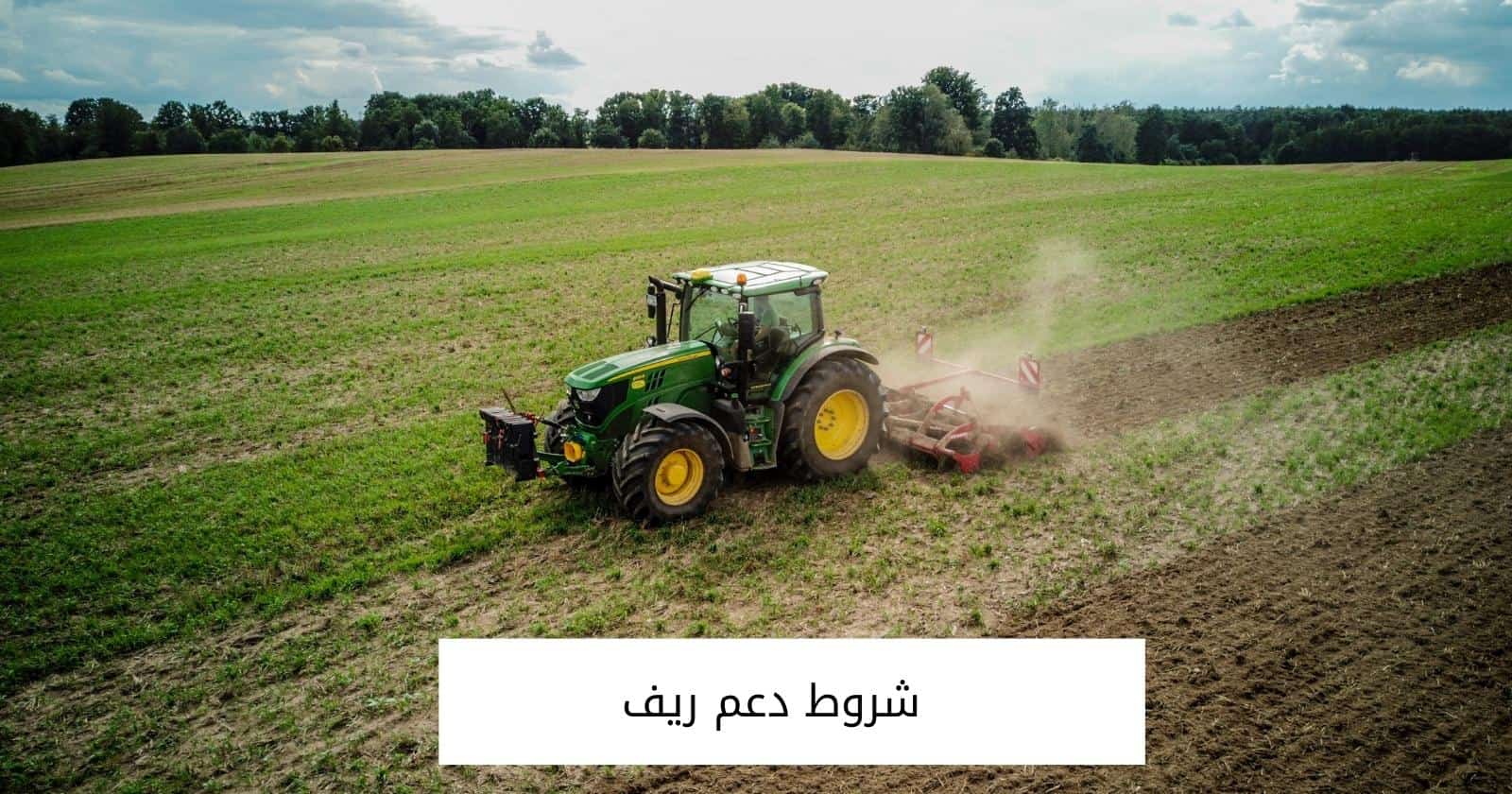 شروط دعم ريف  
