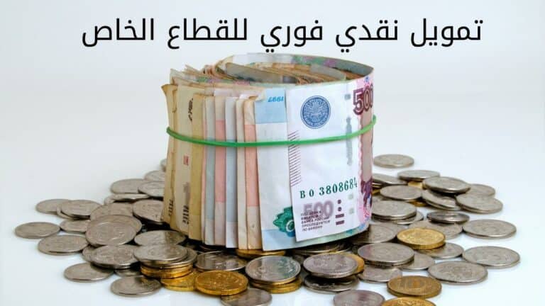 تمويل نقدي فوري للقطاع الخاص بدون كفيل من مختلف البنوك والشركات